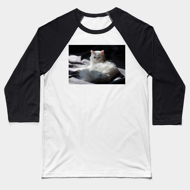 White Cat on Grey Blanket Baseball T-Shirt by jojobob